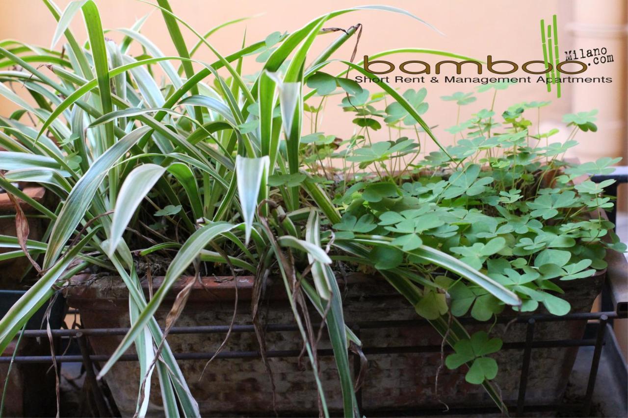 شقة Bamboo Milano Brera المظهر الخارجي الصورة